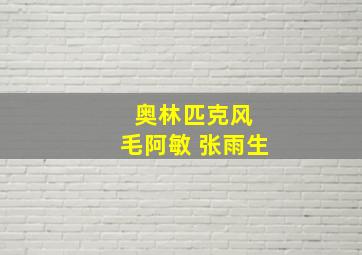 奥林匹克风 毛阿敏 张雨生